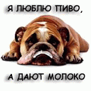 Скачать картинки для мобильного