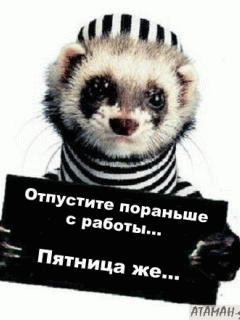 Скачать картинки для мобильного