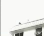 скачать бесплатно видео на мобильный телефон